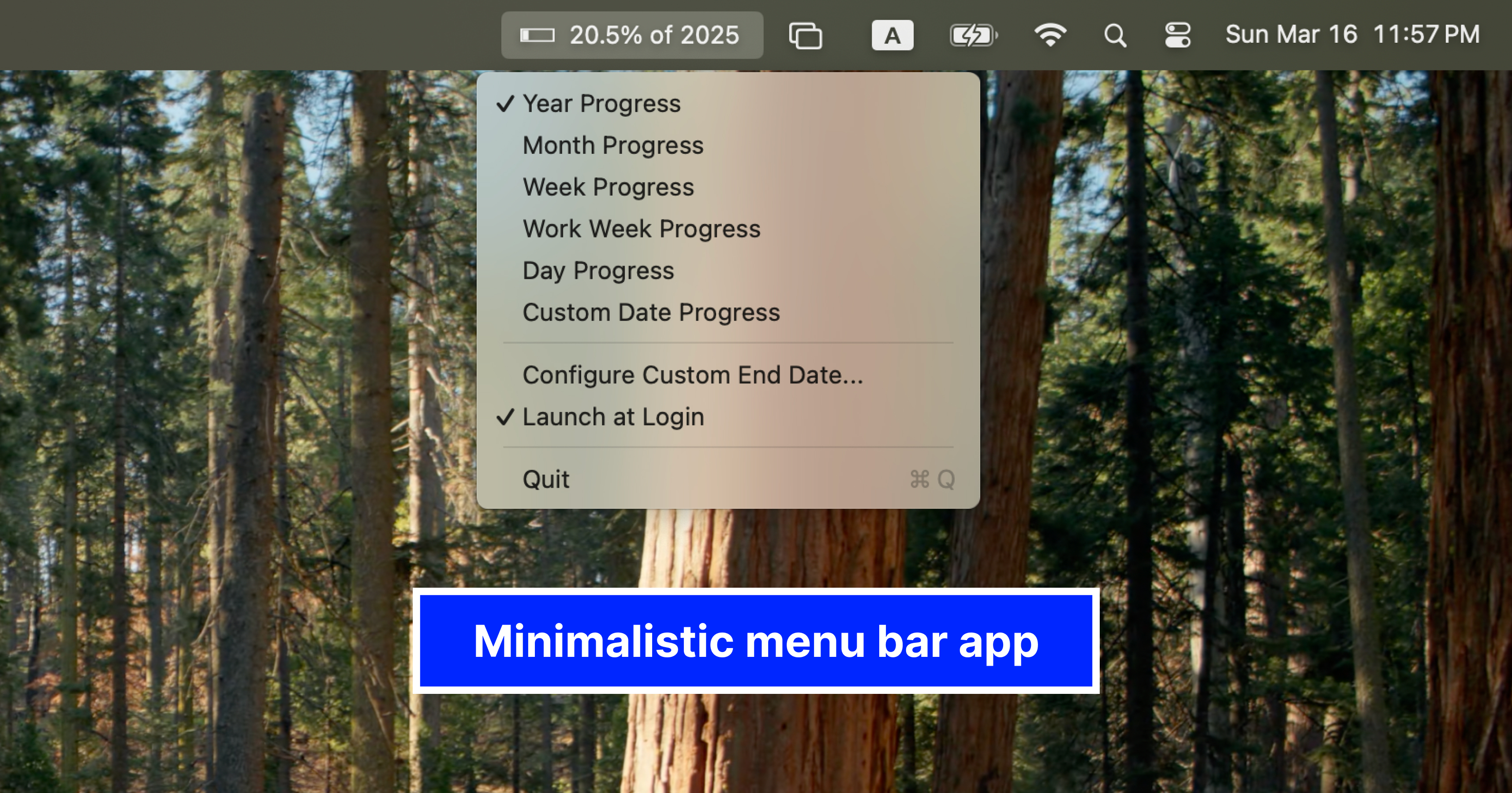 Year Progress App Screenshot